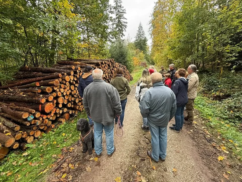 Unser Wald braucht Fachwissen statt Schlagworte – Waldspaziergang der AfD Northeim Wa …