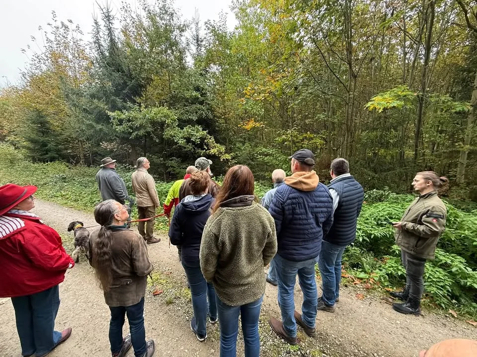Unser Wald braucht Fachwissen statt Schlagworte – Waldspaziergang der AfD Northeim Wa …